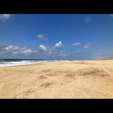 Dune *